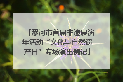 漯河市首届非遗展演年活动“文化与自然遗产日”专场演出侧记