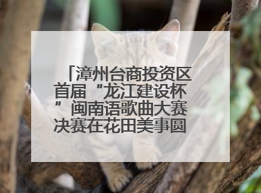 漳州台商投资区首届“龙江建设杯”闽南语歌曲大赛决赛在花田美事圆满落幕