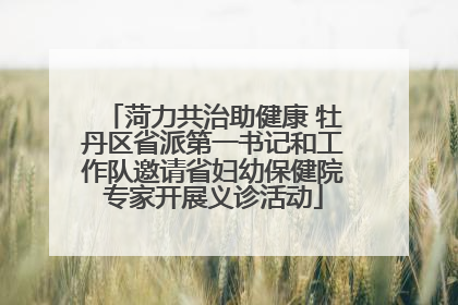 菏力共治助健康 牡丹区省派第一书记和工作队邀请省妇幼保健院专家开展义诊活动