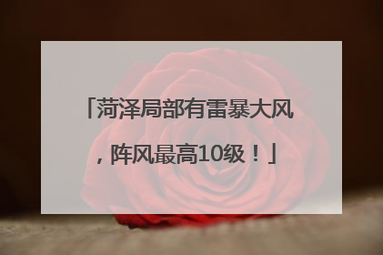 菏泽局部有雷暴大风，阵风最高10级！