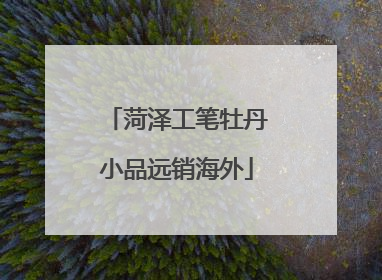 菏泽工笔牡丹小品远销海外