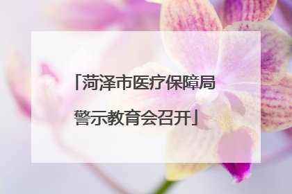 菏泽市医疗保障局警示教育会召开