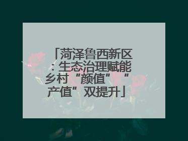菏泽鲁西新区：生态治理赋能乡村“颜值”“产值”双提升