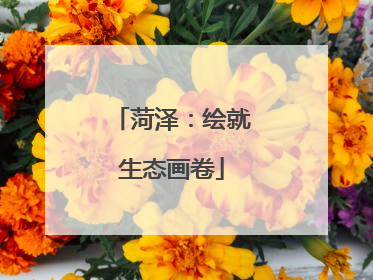 菏泽：绘就生态画卷