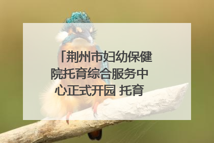 荆州市妇幼保健院托育综合服务中心正式开园 托育宣传月同步启动
