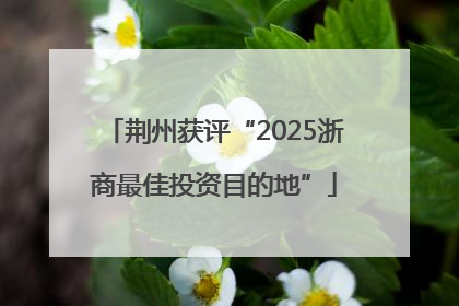 荆州获评“2025浙商最佳投资目的地”