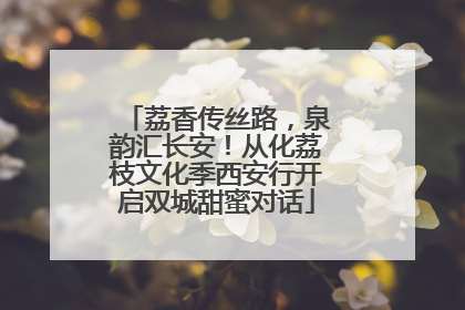 荔香传丝路，泉韵汇长安！从化荔枝文化季西安行开启双城甜蜜对话