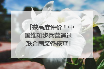 获高度评价！中国维和步兵营通过联合国装备核查