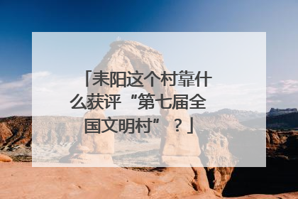 耒阳这个村靠什么获评“第七届全国文明村”？