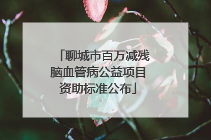 聊城市百万减残脑血管病公益项目资助标准公布