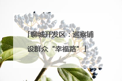 聊城开发区：巡察铺设群众“幸福路”