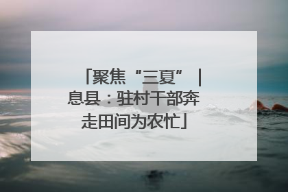 聚焦“三夏”｜息县：驻村干部奔走田间为农忙