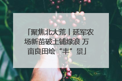 聚焦北大荒丨延军农场新苗破土铺绿浪 万亩良田绘“丰”景