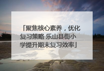 聚焦核心素养，优化复习策略 乐山县街小学提升期末复习效率