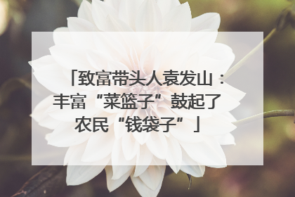 致富带头人袁发山：丰富“菜篮子”鼓起了农民“钱袋子”