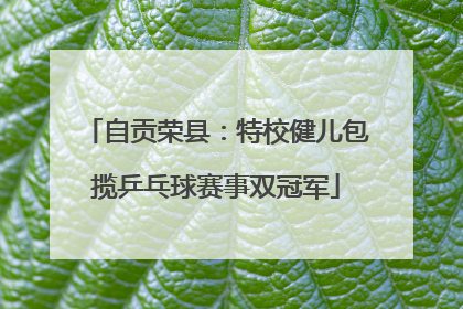 自贡荣县：特校健儿包揽乒乓球赛事双冠军