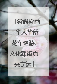 舜裔舜商、华人华侨花车巡游、文化踩街点亮宁远