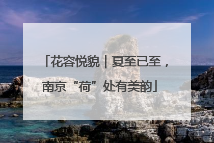 花容悦貌｜夏至已至，南京“荷”处有美韵