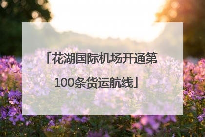 花湖国际机场开通第100条货运航线