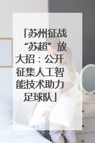 苏州征战“苏超”放大招：公开征集人工智能技术助力足球队