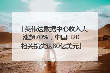 英伟达数据中心收入大涨超70%，中国H20相关损失达80亿美元