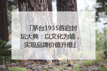 茅台1935首启封坛大典：以文化为锚，实现品牌价值升维