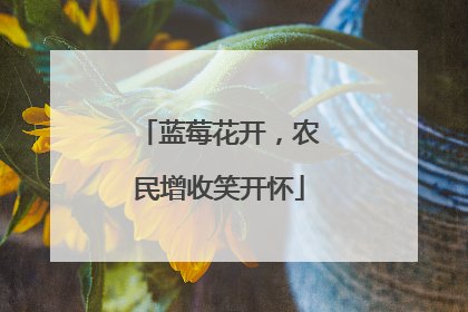 蓝莓花开，农民增收笑开怀