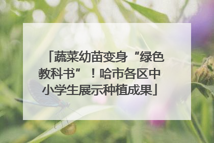 蔬菜幼苗变身“绿色教科书”！哈市各区中小学生展示种植成果