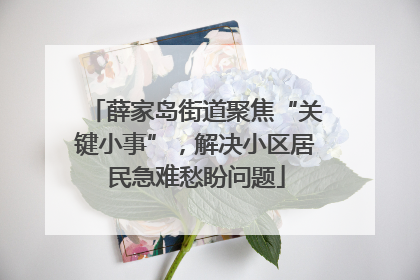 薛家岛街道聚焦“关键小事”，解决小区居民急难愁盼问题