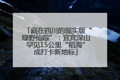藏在四川的现实版“绿野仙踪”：宜宾深山罕见15公里“稻海”成打卡新地标