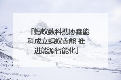 蚂蚁数科携协鑫能科成立蚂蚁鑫能 推进能源智能化