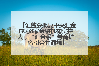 证监会批复中央汇金成为8家金融机构实控人，“汇金系”券商扩容引合并遐想