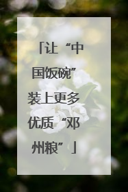 让“中国饭碗”装上更多优质“邓州粮”