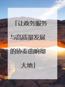 让政务服务与高质量发展的协奏曲响彻大地