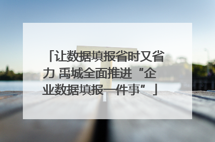 让数据填报省时又省力 禹城全面推进“企业数据填报一件事”
