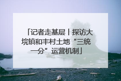 记者走基层丨探访大垸镇和丰村土地“三统一分”运营机制