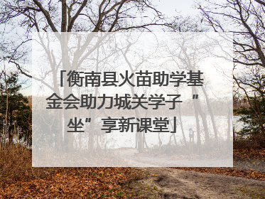 衡南县火苗助学基金会助力城关学子“坐”享新课堂