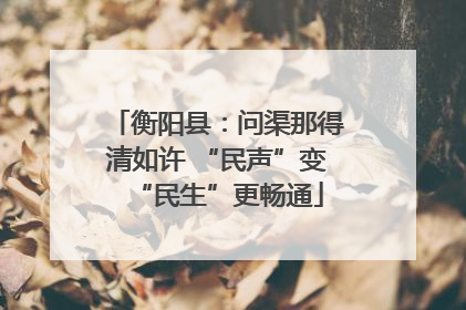衡阳县：问渠那得清如许 “民声”变“民生”更畅通