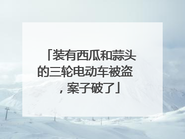 装有西瓜和蒜头的三轮电动车被盗，案子破了