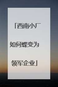 西南小厂如何蝶变为领军企业