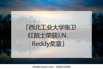 西北工业大学张卫红院士荣获J.N.Reddy奖章