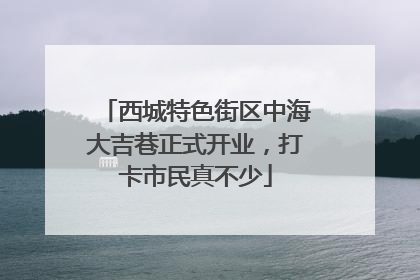 西城特色街区中海大吉巷正式开业，打卡市民真不少