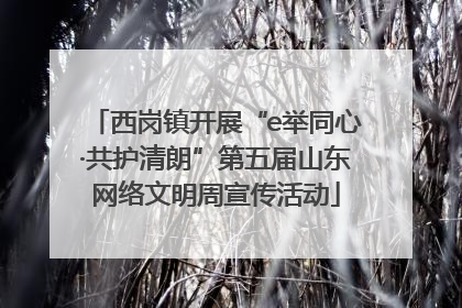 西岗镇开展“e举同心·共护清朗”第五届山东网络文明周宣传活动