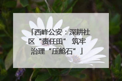 西峰公安：深耕社区“责任田” 筑牢治理“压舱石”