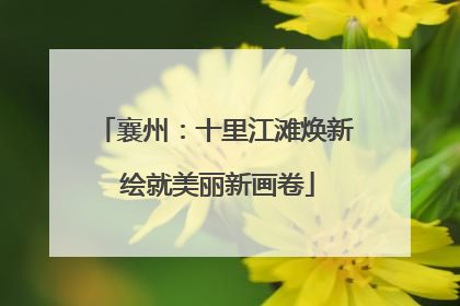 襄州：十里江滩焕新 绘就美丽新画卷
