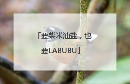 要柴米油盐，也要LABUBU
