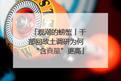 观潮的螃蟹丨干部回故土调研为何“含真量”更高