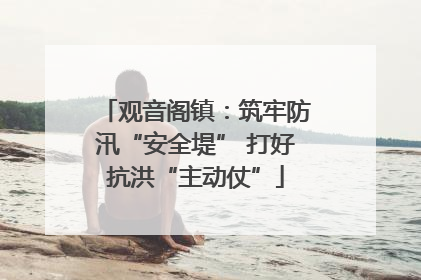观音阁镇：筑牢防汛“安全堤” 打好抗洪“主动仗”