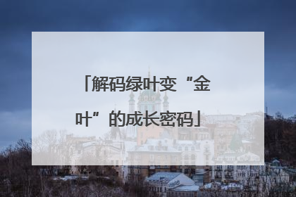 解码绿叶变“金叶”的成长密码
