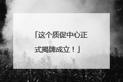 这个质促中心正式揭牌成立！